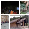 Actividades 2017