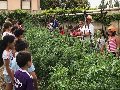 Pulsa para ampliar