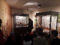Pulsa para ampliar