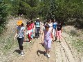 Pulsa para ampliar