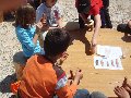 Pulsa para ampliar