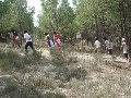 Pulsa para ampliar