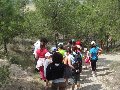 Pulsa para ampliar