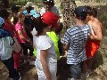 Pulsa para ampliar