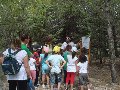 Pulsa para ampliar