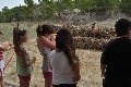 Pulsa para ampliar