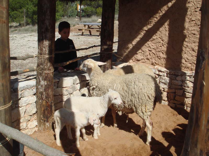 Taller: La fauna en la Edad del Hierro I