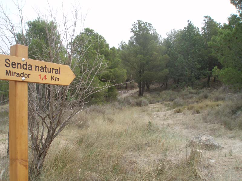 Taller: La senda natural y los yacimientos de Campos de Urnas del rio Huecha