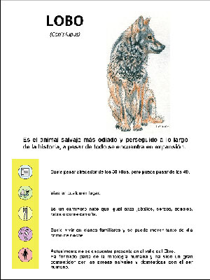 noticia
