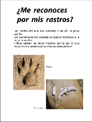 noticia
